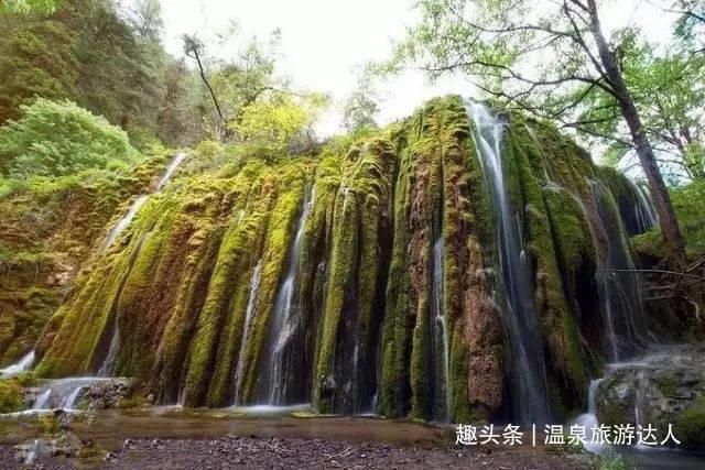 小猫钓鱼游戏龙王版有船